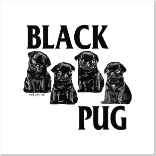 Black Pug Posters and Art